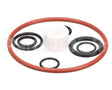2187066 Stoelting O-Ring Bearing Kit