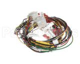 2187102 Multiplex Harness Dc Modular