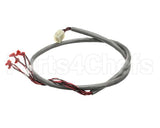 218809 Duke Harness, Wire Hdc Display/Rtd