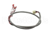 218809 Duke Harness, Wire Hdc Display/Rtd