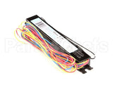 2195377 Delfield Ballast,Electronic, Program St