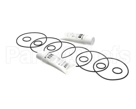 2202072 Stoelting Kit; Minor Tune Up (Os 3 Brl)