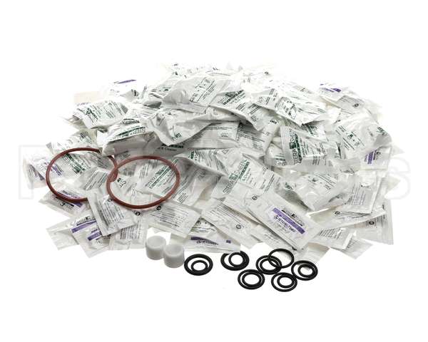 2206195 Stoelting Model F231 6 Month Maint Kit