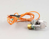 2206515 Garland Spark Ignition Pilot Nat 48In