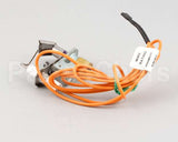 2206515 Garland Spark Ignition Pilot Nat 48In
