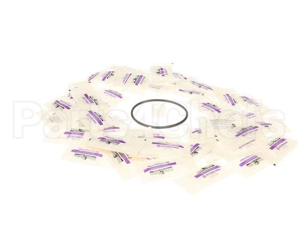 2208432 Stoelting Semi-Annual Cc Pm Kit