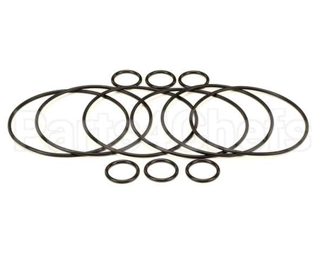 2208802 Stoelting Oem Os Quarterly Kit