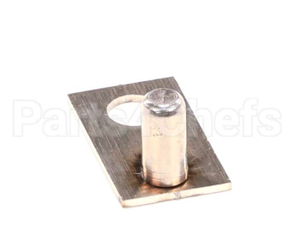 22333 Gaylord Rspc Electrode Weldment Assembly P
