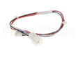 225218 Duke Wire Harness Long