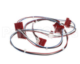 225221 Duke Harness Idc 12V & Can