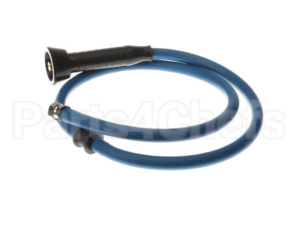 226100 Franke Hose Assy 60" W/ Spry Head