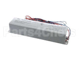 22894 Gaylord Eliminator Ballast