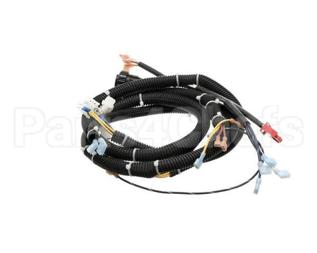 22A669 Ultrafryer Cable, Main Bank P3 Ph Basic