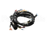 22A669 Ultrafryer Cable, Main Bank P3 Ph Basic