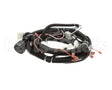 22A675 Ultrafryer Cable, Main Bank W/24C Gas Valve & Fan R
