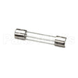 23A291 Compatible Ultrafryer Fuse, 250V 2 Amp Pnp