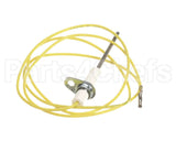 24376701 International Comfort Pro Sensor Flame Hsi Sk