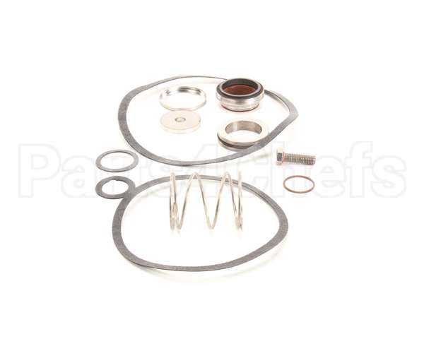 24463 Power Soak Systems Pump Seal Kit - Worthington (