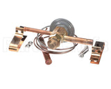 24721000 Arneg Expansion Valve