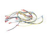24920 Blodgett Harness,Wiring