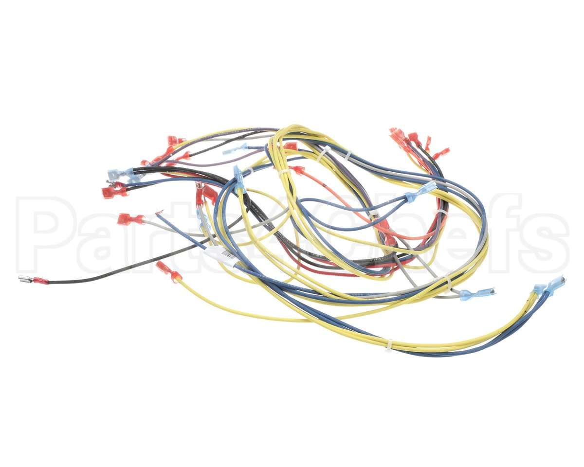 24920 Blodgett Harness,Wiring
