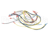 24920 Blodgett Harness,Wiring
