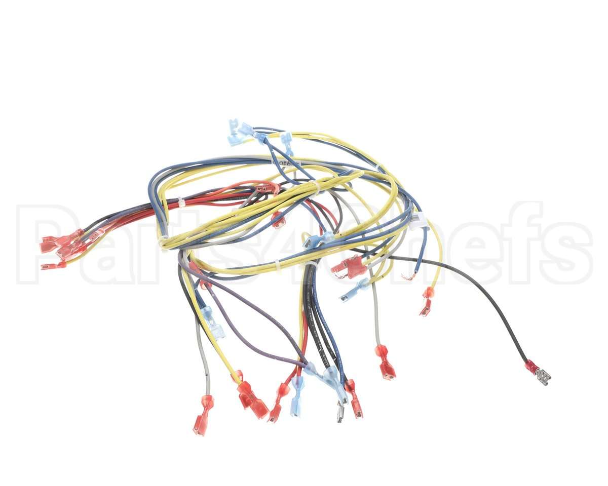 24920 Blodgett Harness,Wiring