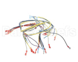 24920 Blodgett Harness,Wiring