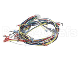 24930 Blodgett Harness, Wiring Ssd