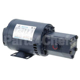 24A294 Compatible Ultrafryer Pump/Motor Assy, 8.3Gal, Haight