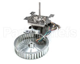 250-1060 Nu-Vu Kit,Motor,1/3Hpdv,10Cage 240V