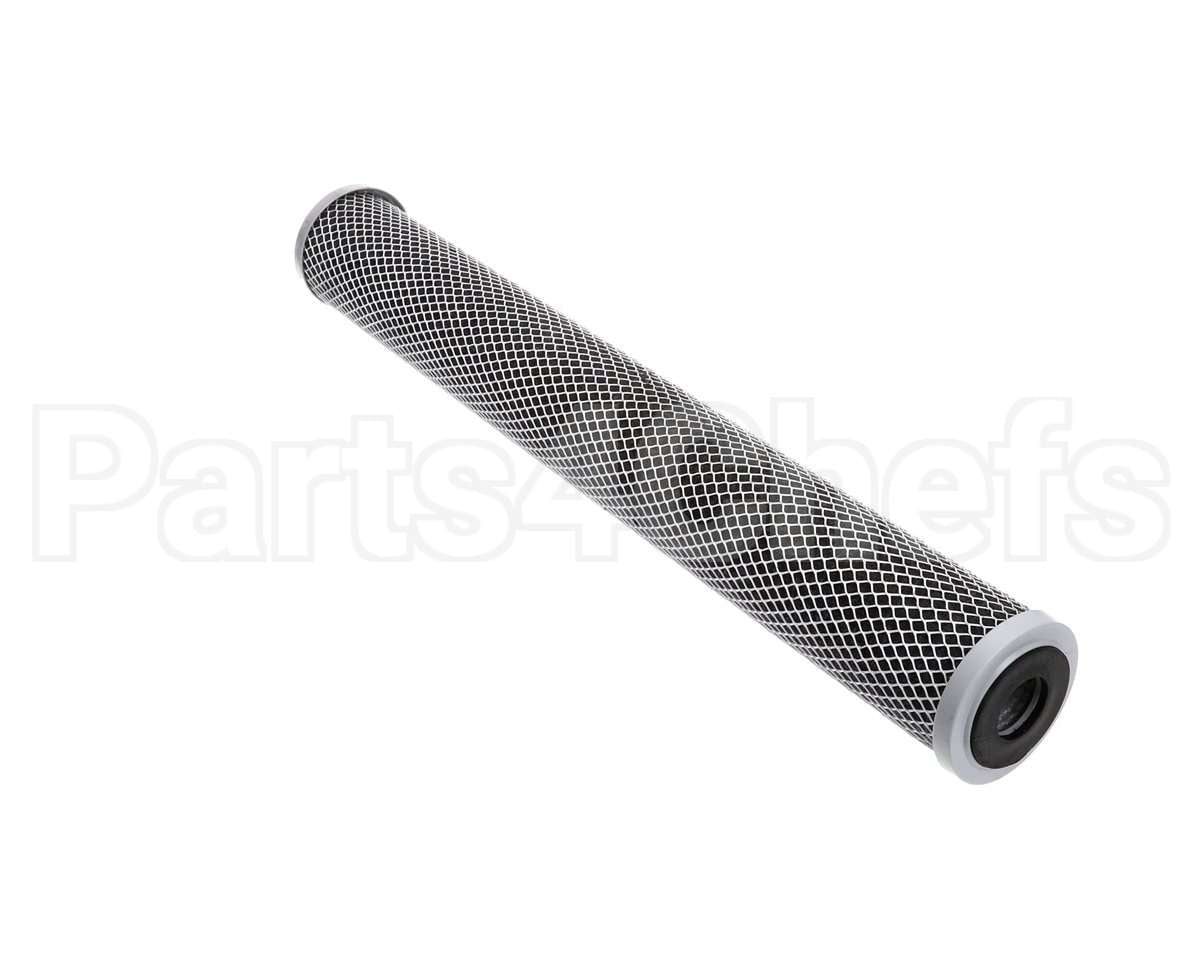 252-00220 Everpure Cto-20