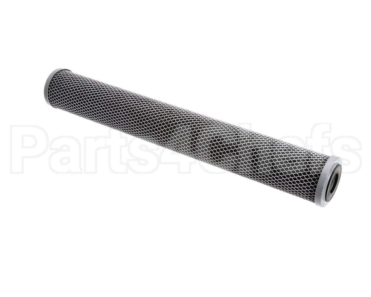 252-00220 Everpure Cto-20