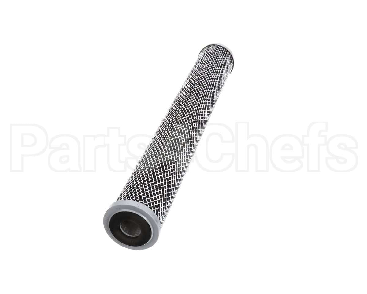 252-00220 Everpure Cto-20