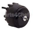 253 Century Unit Bearing Motor
