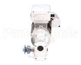 257-0010 Doyon Gear Motor