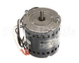 260-00005 Grindmaster Cecilware Pump Motor, Cw, 115V, 60 Hz, W