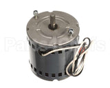 260-00005 Grindmaster Cecilware Pump Motor, Cw, 115V, 60 Hz, W