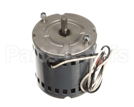 260-00005 Grindmaster Cecilware Pump Motor, Cw, 115V, 60 Hz, W