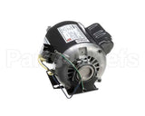 260-00047 Grindmaster Cecilware Motor 1/2Hp 230V Gnb Ce