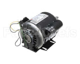 260-00047 Grindmaster Cecilware Motor 1/2Hp 230V Gnb Ce
