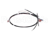26081.0003 Bunn Wiring Harn, 200-240V On/Off