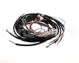 264542S Hoshizaki Wire Harness
