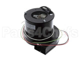 270464 Reznor Motor 2-Speed 4-Wire 120V 60Hz