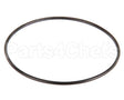 27476 Power Soak Systems O-Ring - Seal Plate
