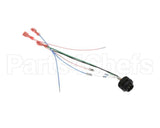 28766.0000 Bunn Wire Assembly, Probe-Refill