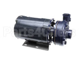 288-1050 American Dish Service Pump Assembly, Pumped Rinse N