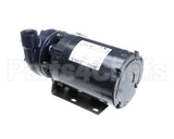 288-1050 American Dish Service Pump Assembly, Pumped Rinse N