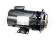 288-1064 American Dish Service Pump Assembly, Pre-Wash Thru