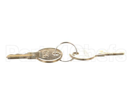 29-0018 Autofry Door Key